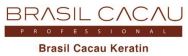 Brasil Cacau Professional for hair care