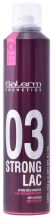 Fixing Spray 03 Strong Lac 300 ml Fixing Spray 03 Strong Lac 300 ml