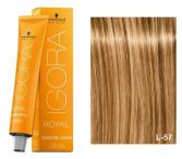 Igora Royal Fashion 60 ml Igora Royal Fashion 60 ml