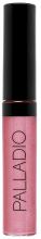Gloss shiny lip gloss 29 Passion Pink Gloss shiny lip gloss 29 Passion Pink