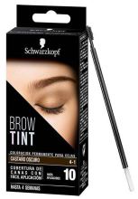 Brow Tint Brow Tint