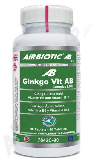 Ginkgo Vitamin 6000 90 Capsules Ginkgo Vitamin 6000 90 Capsules