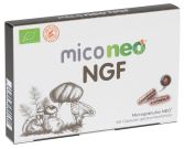Mico Ngf 60 Capsules Mico Ngf 60 Capsules