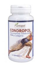 Condr Collagen Glucosamine Msm 60 Tablets Condr Collagen Glucosamine Msm 60 Tablets