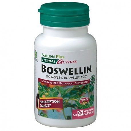 Boswellin 300mg 60 Capsules Boswellin 300mg 60 Capsules