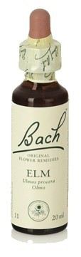 Bach 11 Elm 20 ml Bach 11 Elm 20 ml