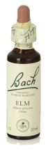 Bach 11 Elm 20 ml Bach 11 Elm 20 ml