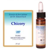 Fm 8 Chicory 10 ml