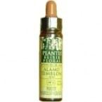 Cerato Plantis No. 05 10 ml Cerato Plantis No. 05 10 ml