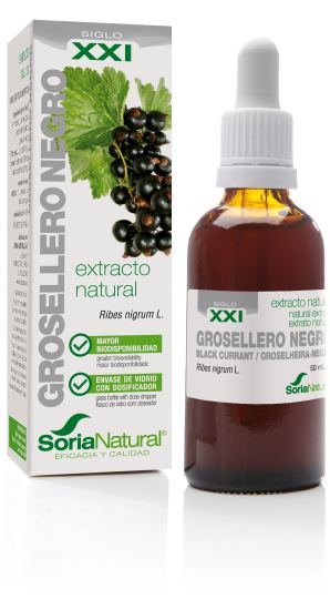 Extract of Grosellero N Siglo XXI Extract of Grosellero N Siglo XXI
