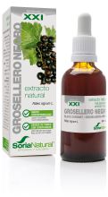 Extract of Grosellero N Siglo XXI Extract of Grosellero N Siglo XXI