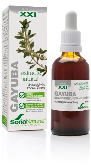 Gayuba Extract Gayuba Extract