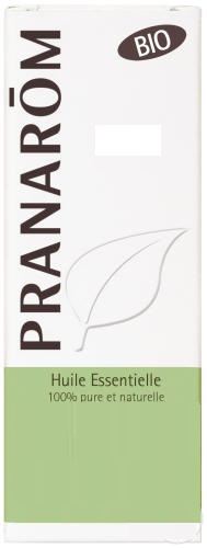Thuya Occidentalis Essential Oil Thuya Occidentalis Essential Oil